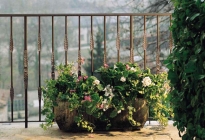 B038-balcon-fier-forjat-atelier-46-ro